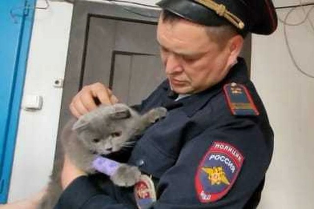 Поджиг был хорош!