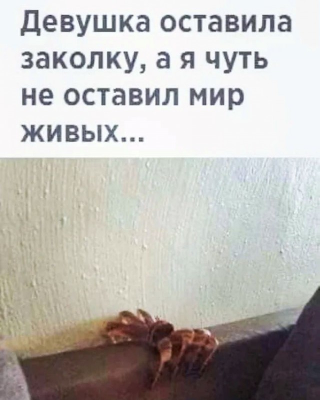 Весёлый полтишок 14.05.25.