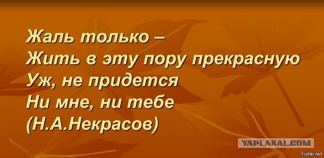 «Магистральный самолет XXI века» не просто жив, а готов пережить «Боинг»