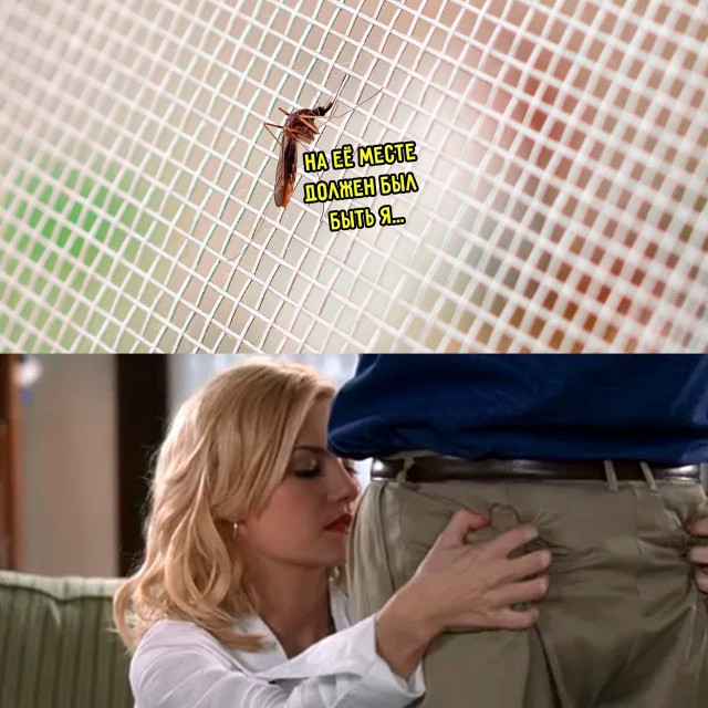 Немного мемчиков. Для взрослых. Часть 37