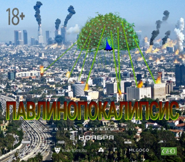 Новости науки. Учёные в хвостах павлинов нашли миниатюрные лазерные резонаторы.