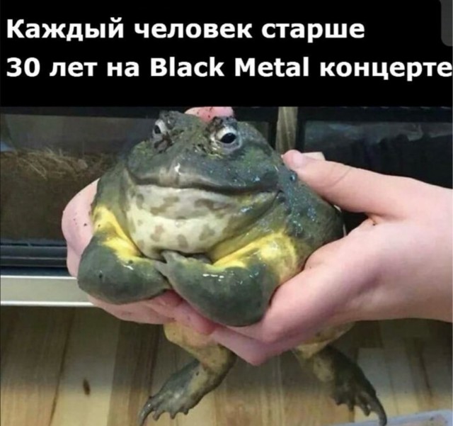 Веселое настроение в картинках (03.08.2025)