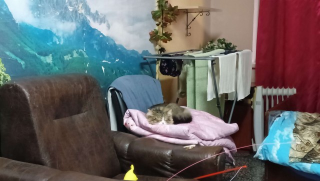 Литболталка