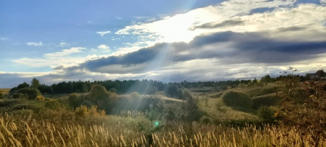 Моя мобильная фотография.