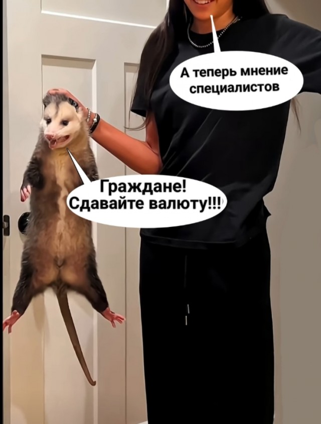 Россиянам посоветовали избавляться от долларов Большинству россиян сейчас лучше не рассматривать иностранную валюту как инструмент сбережений.