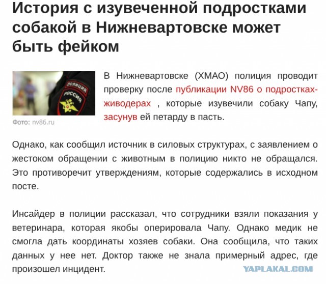 В Нижневартовске трое подростков засунули в пасть Чапы петарду и взорвали ее