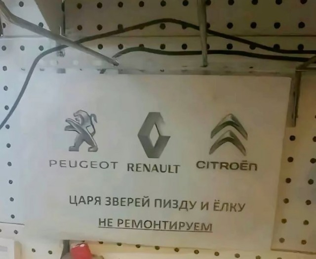 Peugeot сняли рекламу с котятами