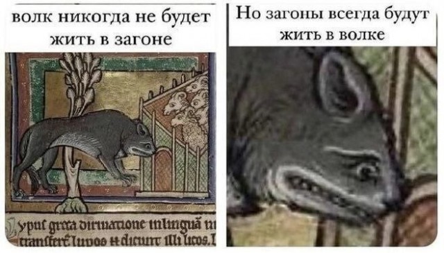 Картинки для деградации 197 (разной степени свежести)