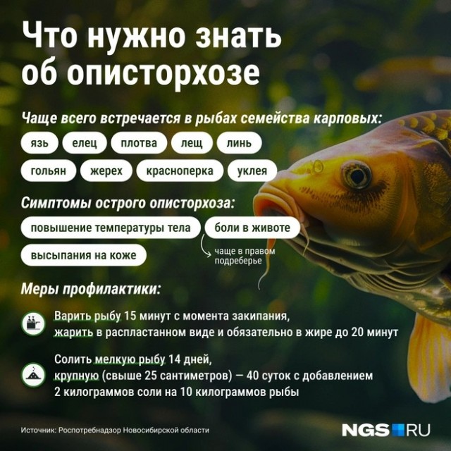 Вылазка на Иртыш
