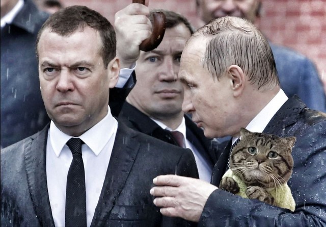 Фотожаба: Грустный котик