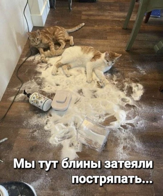 Прикольные и просто красивые картинки 01.09.2026