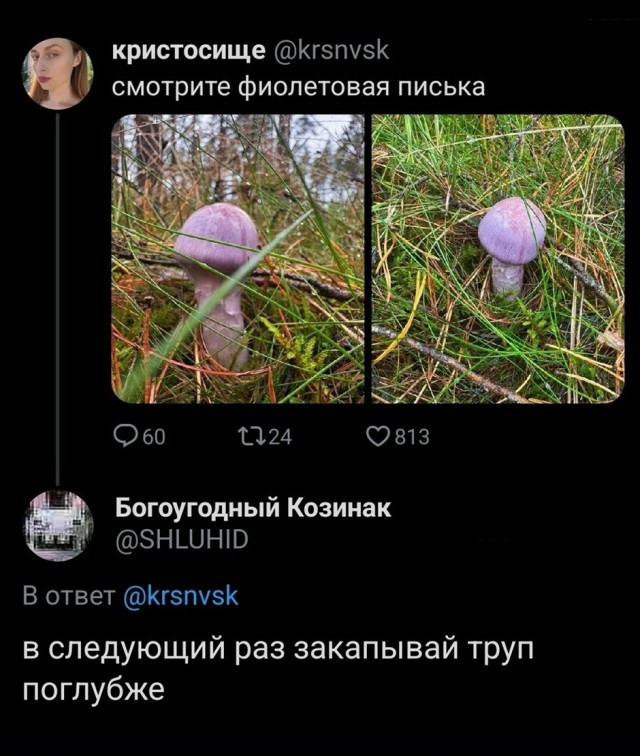 Так себе картинки 27.09.26