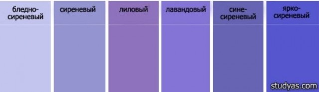 Гигантская очередь выстроилась на Пушкинской за новым лиловым бургером во «Вкусно — и точка»