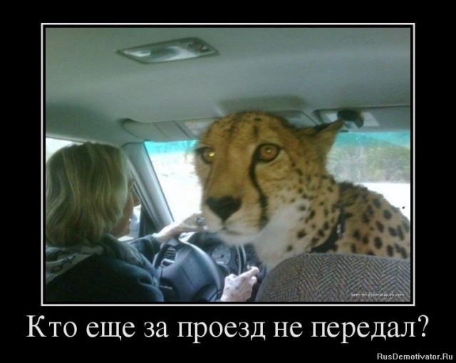 Кого высматриваем?