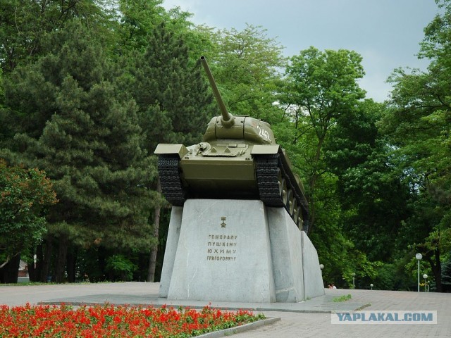 Три поляка, грузин и собака