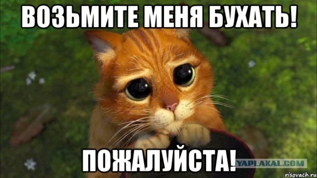 Фуршет на плотине