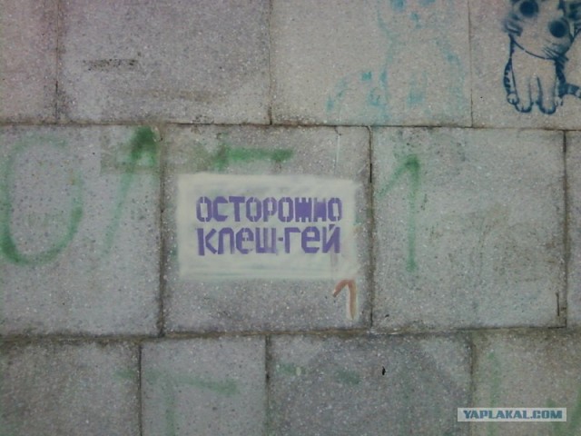 Новый вид клеща!