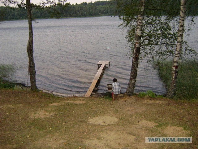 Кулинарная общалка