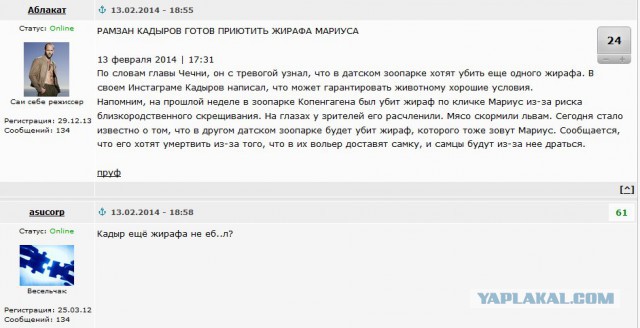 Кадыров продолжает жечь