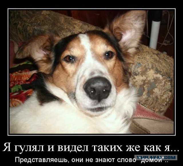У меня появился маленький друг:)