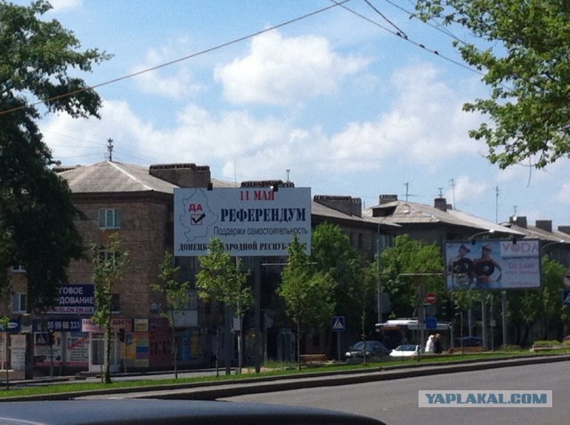 Подборка фото с референдума