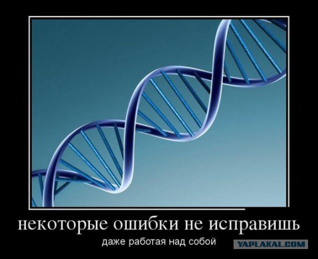 С миру по нитке. Демотиваторов чуть