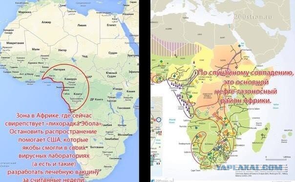 Немного о "лихорадке Эбола"