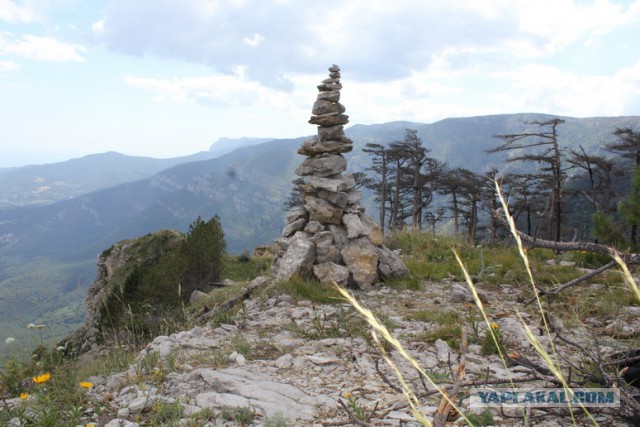 Дорога из Киева и из Москвы в Ялту.