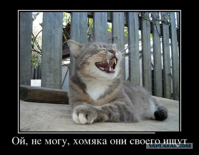 Немного позитива на пятницу