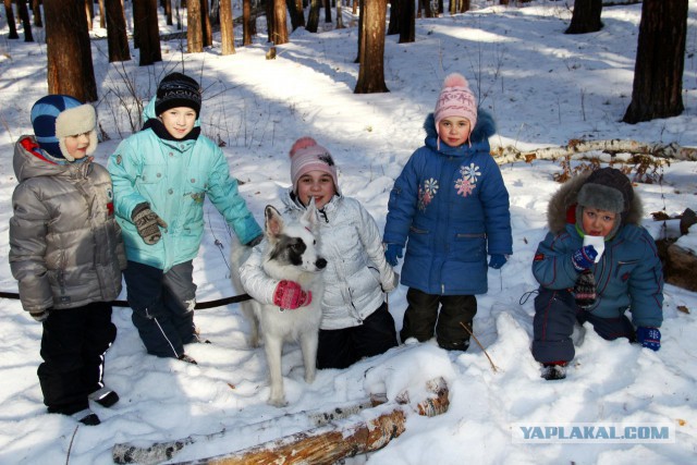 Собакочетверг 26.02.2015