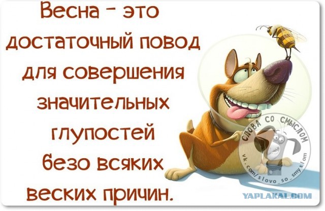 Веселые жизненные наблюдения из Вредного журнала