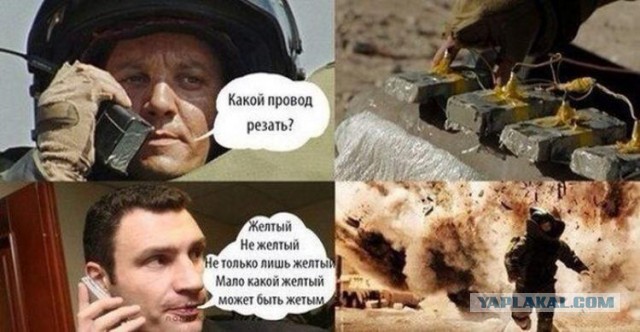 10 политических картинок часть 15