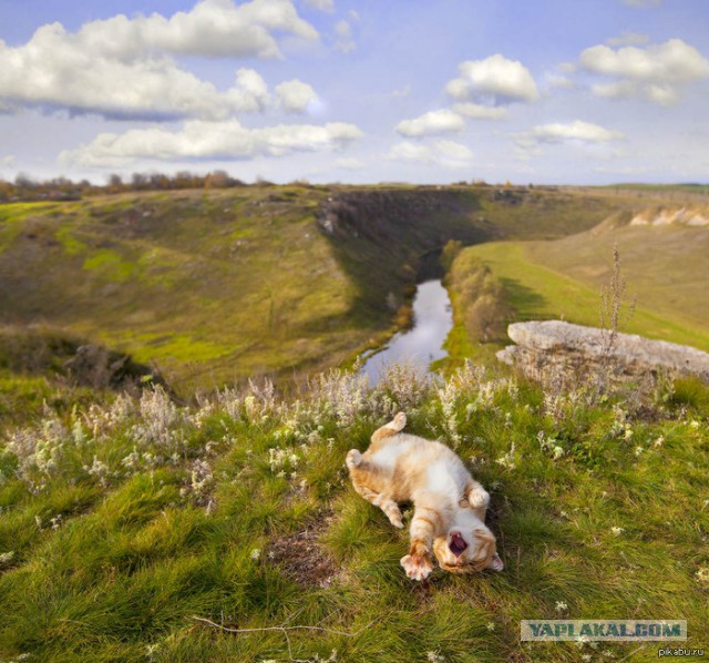 Подборка картинок 29.03.16