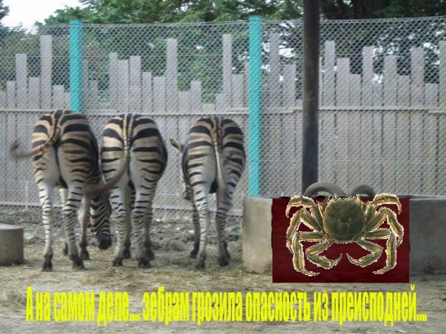 Фотожаба: Невидимый зверь