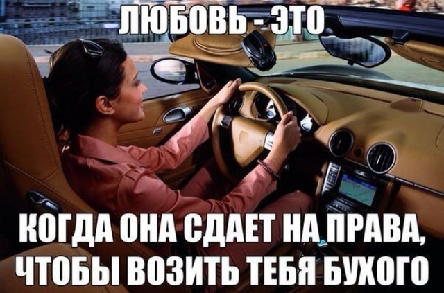 Прикольные картинки