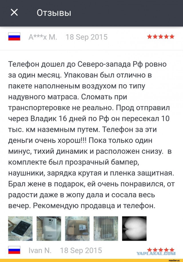В мире животных