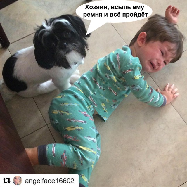 Мальчишки и девчонки, а также их родители