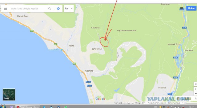 В Махачкале после гибели маленькой девочки неизвестные начали массовый отстрел бродячих собак