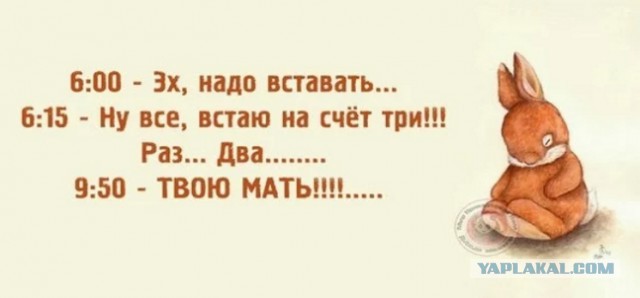Подборка интересных и веселых картинок
