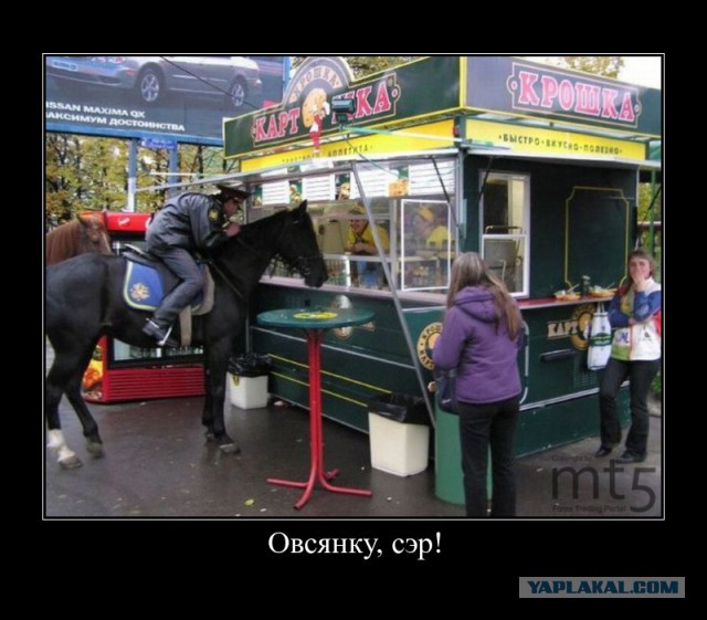 «Теремок» призвал перестать «кланяться в ноги» McDonald's