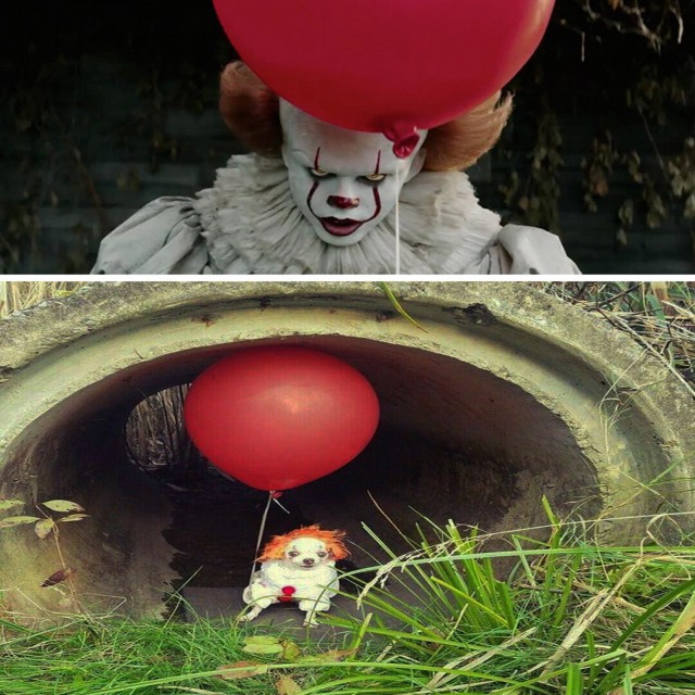 Подборка интересных и веселых картинок