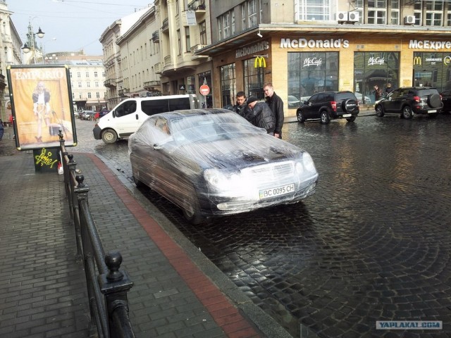 Стопхам по львовски