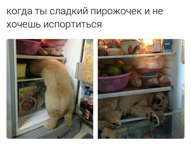 Немного картинок в эту среду