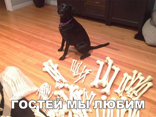 Нестандартный юмор