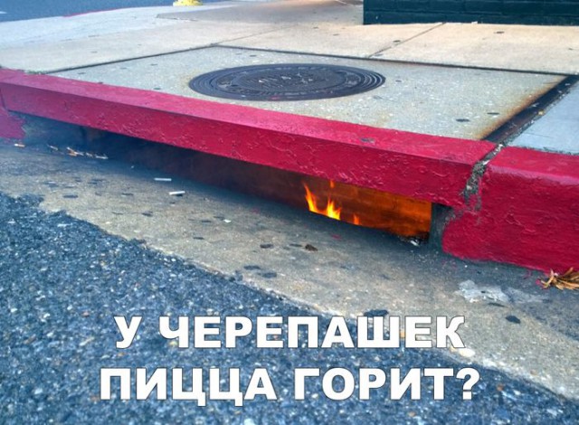 Немного картинок для настроения