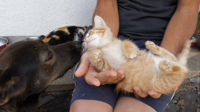 Один мой день. Самый первый!