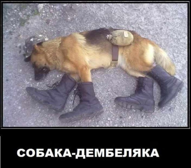 Весёлая карусель