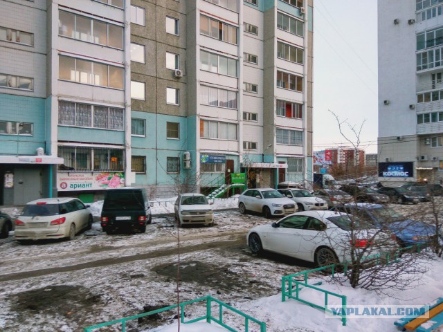 Заставка «Симпсоны» - артхаус версия