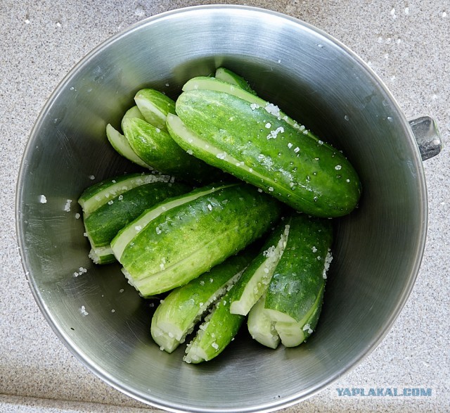 Огурцы малосольные по-корейски // Ои Cобаги // Кимчи из огурцов