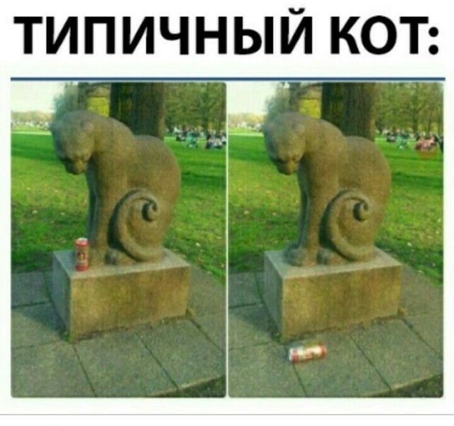 Чуток картинок 21.06.20
